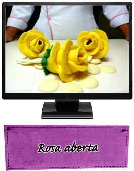 Rosa Aberta